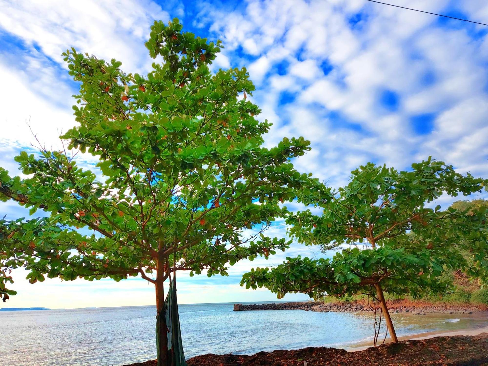 Navni Beach View Stay جوكارنا المظهر الخارجي الصورة